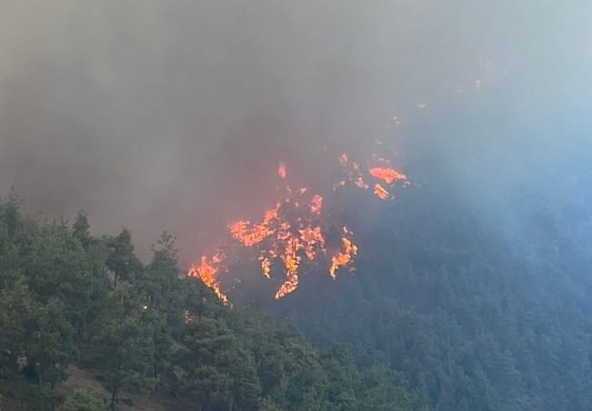 Bursa’daki orman yangınlarına ilişkin 1 kişi gözaltında Bursa Valiliği, orman yangınlarına dair gelen ihbarlar üzerine Cumhuriyet Başsavcılığı'nın