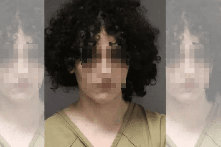New Jersey'de iki yayaya çarpıp kaçtığı öne sürülen 22 yaşındaki