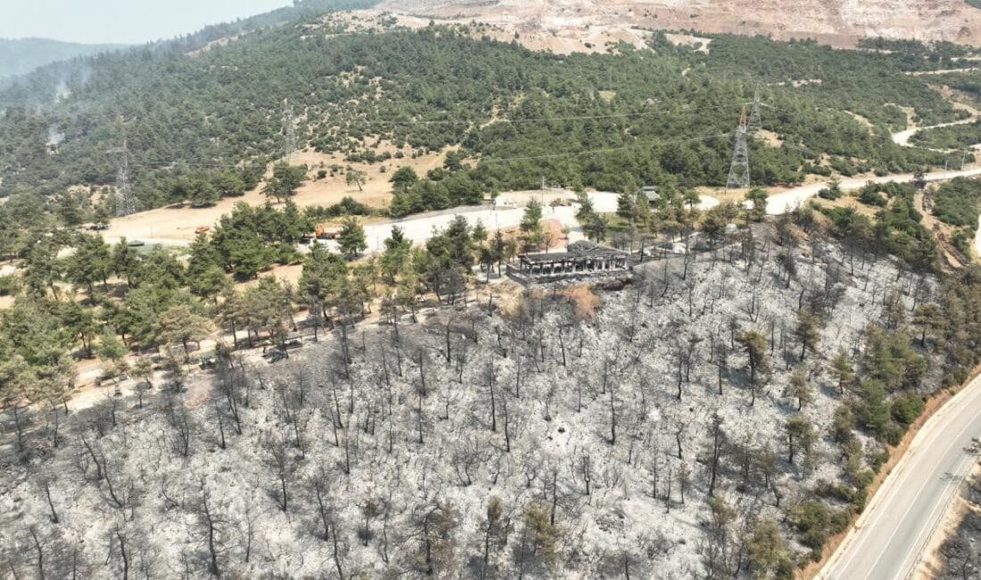 Gürsu yangınında yeni aşama Gürsu Belediye Başkanı Mustafa Işık, ilçede yaşanan orman yangınının ardından