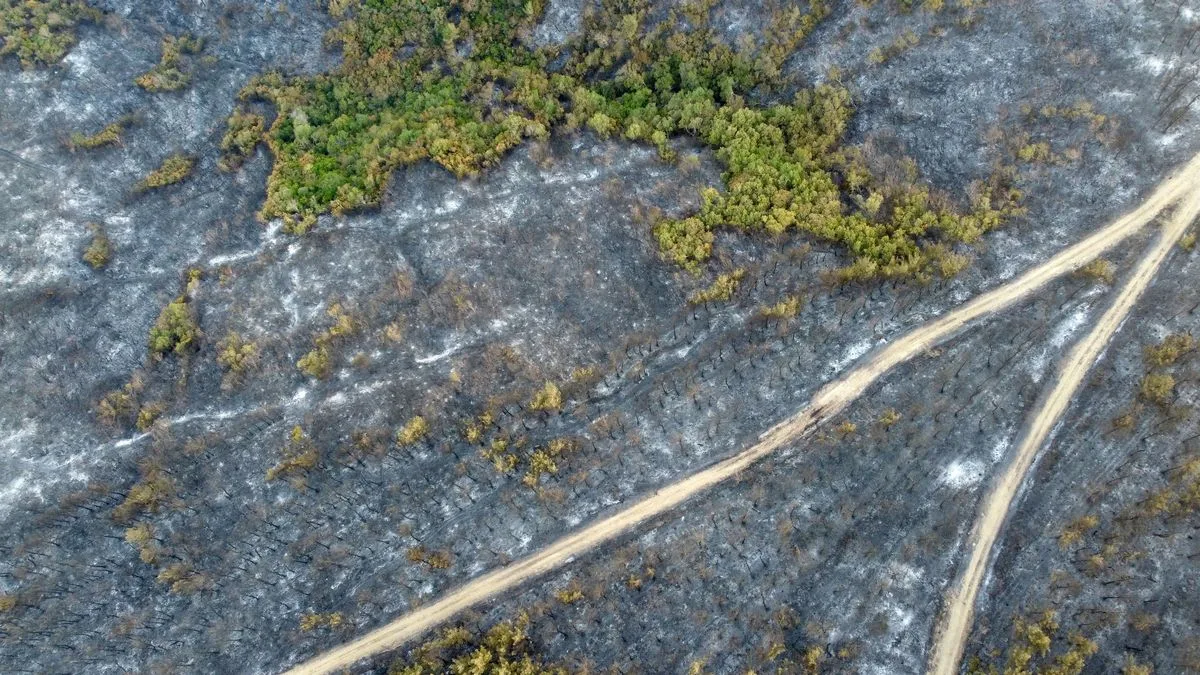 Çanakkale’nin Gelibolu ilçesinde 16 Ağustos’ta başlayan orman yangını büyük ölçüde