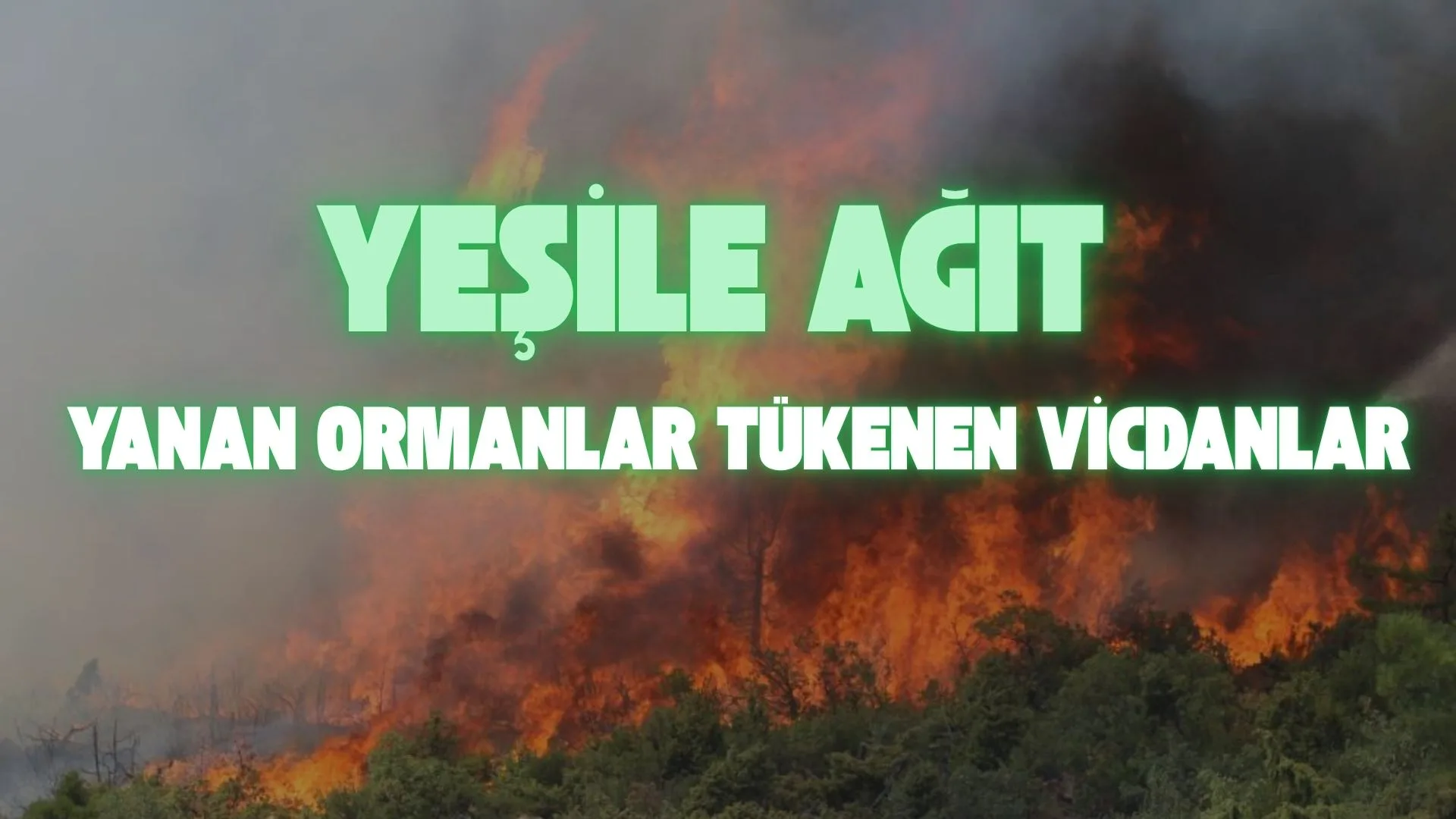 Geçtiğimiz hafta, Bursa’mızın yüreği yandı. Harmancık’ta, Gürsu’da alevler yükseldi gökyüzüne.