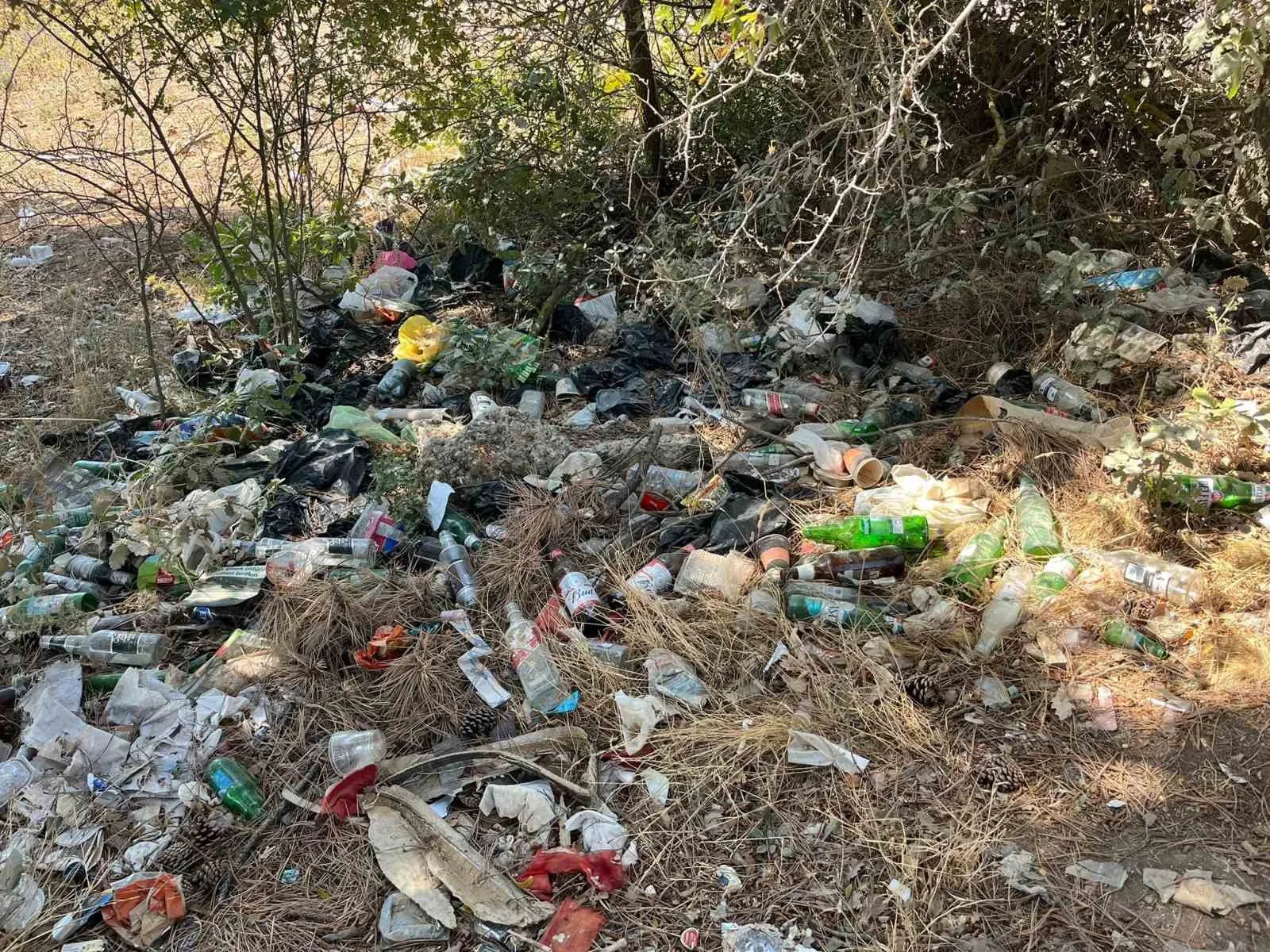 Bilecik'te ormanlık alanda içki içenlerin attığı çöpler tepkilere yol açtı.