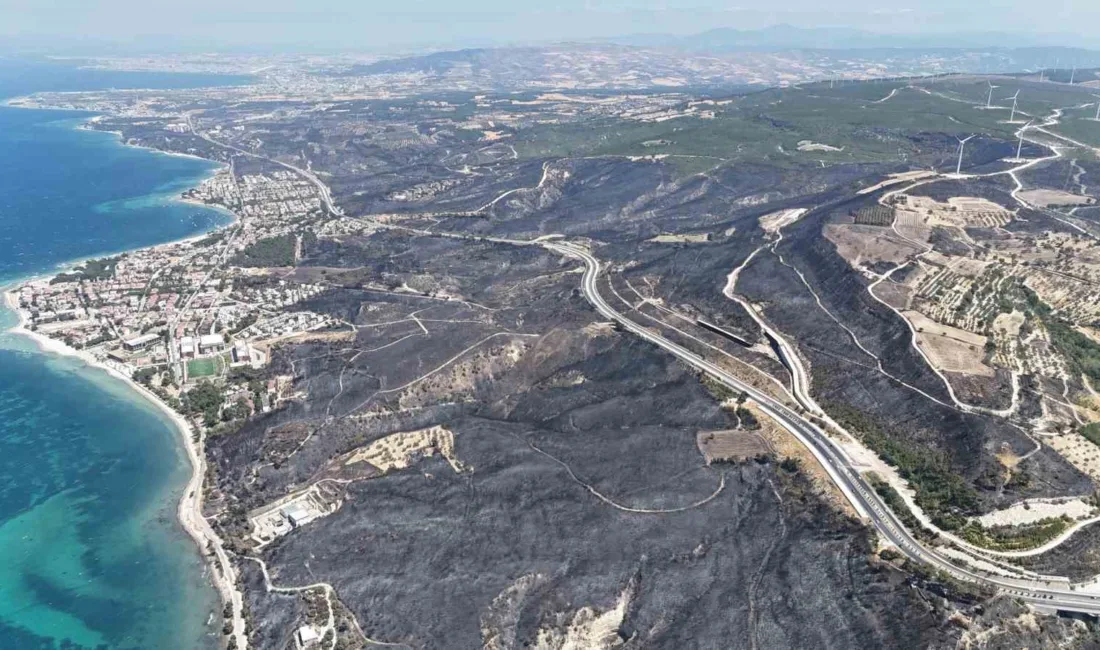 Çanakkale’nin Kepez beldesinde tarım arazisinde başlayarak ormanlık alana sıçrayan yangın