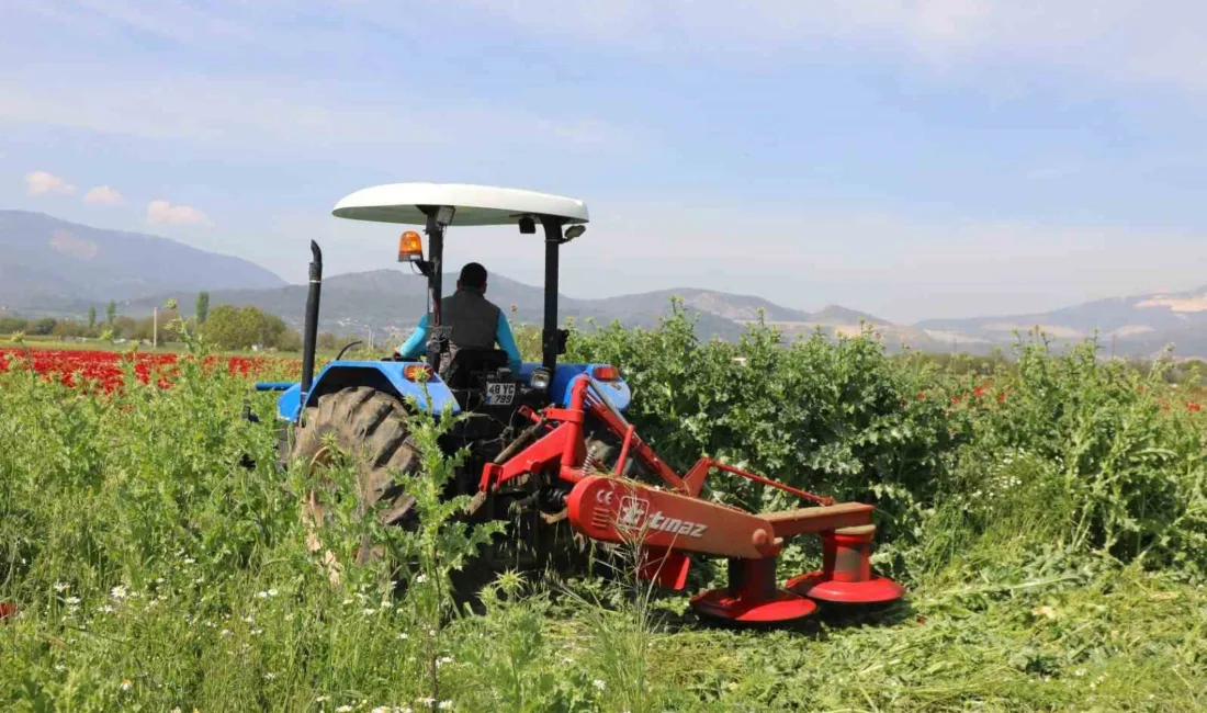 Muğla Büyükşehir Belediyesi, kırsal kalkınmayı desteklemek amacıyla 1 ila 10