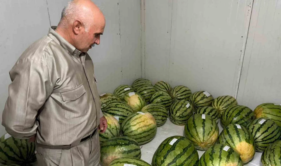 15’inci Diyarbakır Karpuzu etkinliği için hazırlıklar başladı Diyarbakır’da bu ay düzenlenecek 15’inci karpuz tanıtım etkinliği öncesi üreticilerin