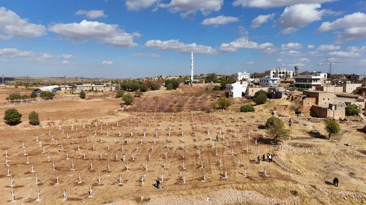 Mardin’in Ömerli ilçesinde 30 çiftçiye destekle başlatılan proje kapsamında 120