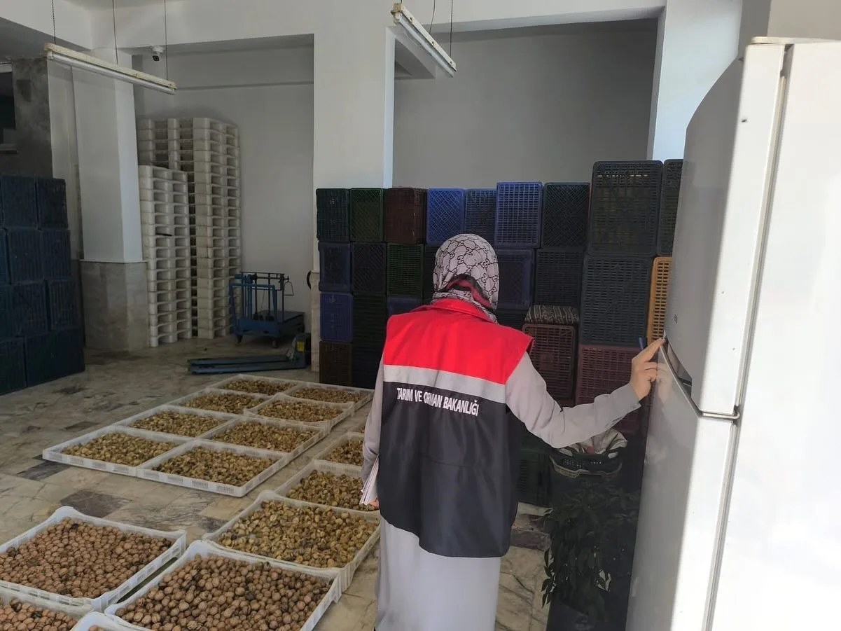 Köşk İlçe Tarım ve Orman Müdürlüğü ekipleri, kuru incir depolarında