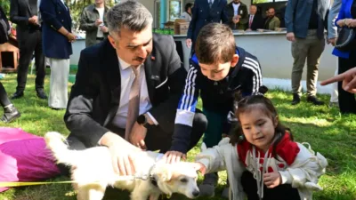 Mama Üretim Tesisi, Hayvan Ambulansı, PatiVet Gezici Tedavi Aracı gibi