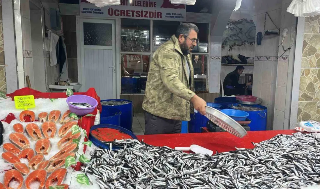 Kütahyanın Tavşanlı ilçesindeki Balık Pazarı, zengin balık çeşitleri ve taze