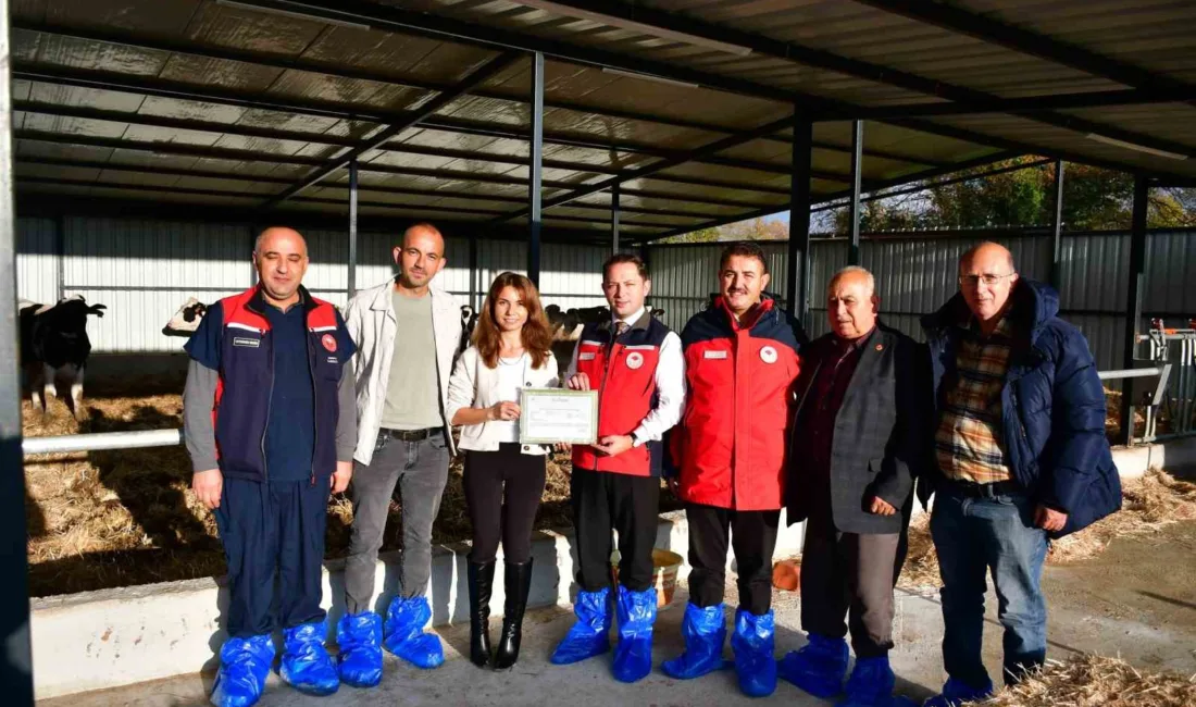 Çanakkale’nin Biga ilçesinde hastalıktan ari ve kaliteli hayvansal üretim yapan