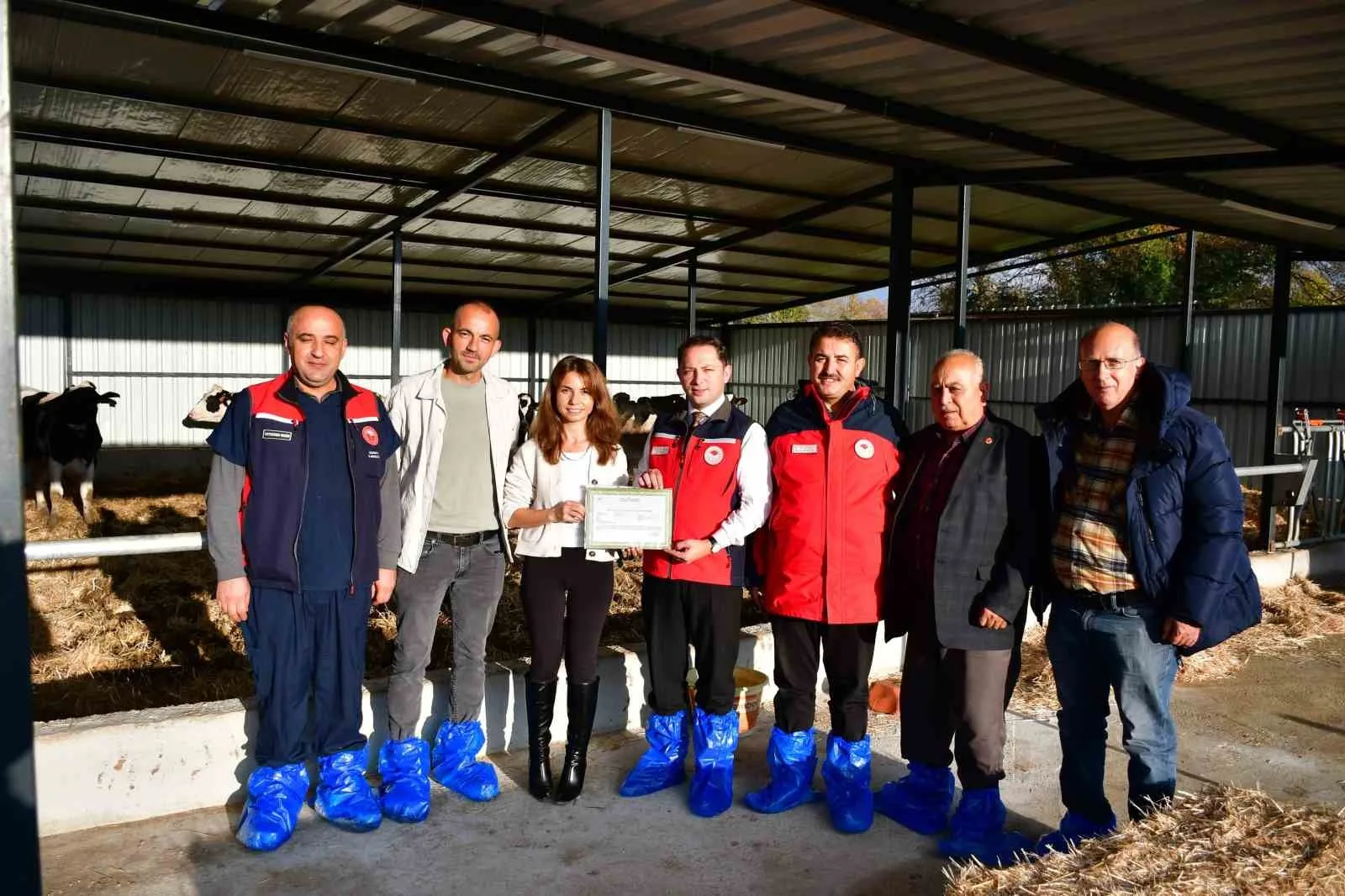Çanakkale’nin Biga ilçesinde hastalıktan ari ve kaliteli hayvansal üretim yapan