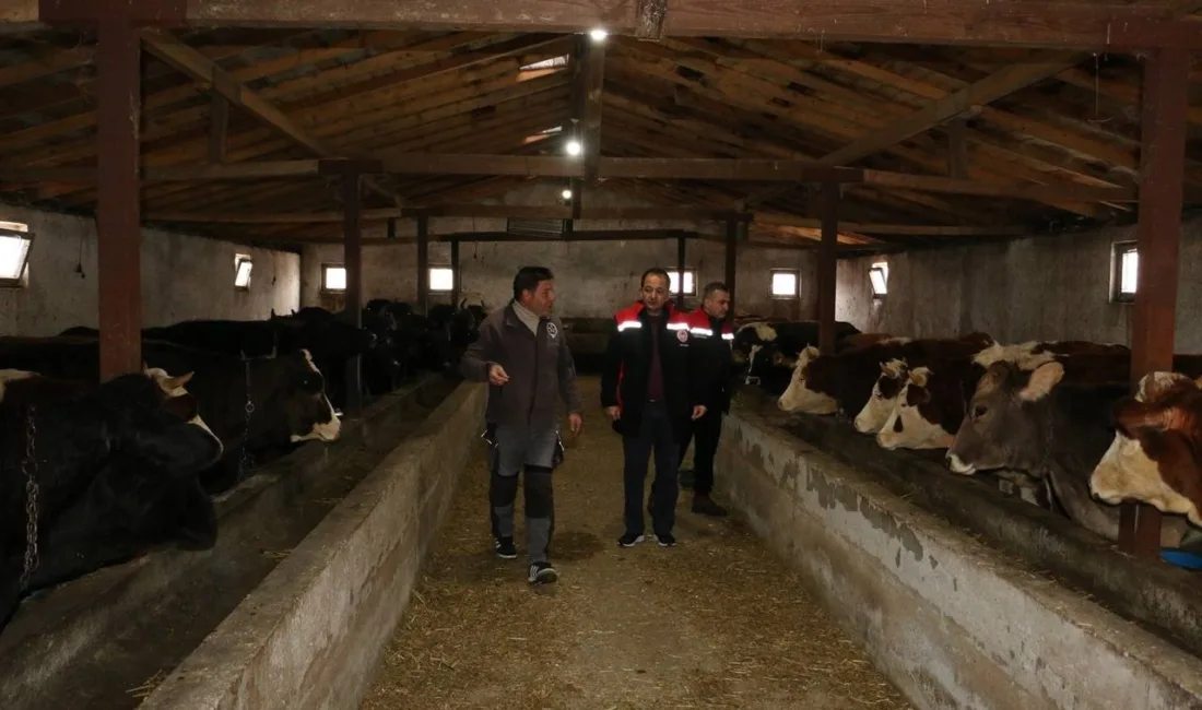 Erzincan Tarım ve Orman İl Müdürü Alper Koçaker, Üzümlü ilçesinde