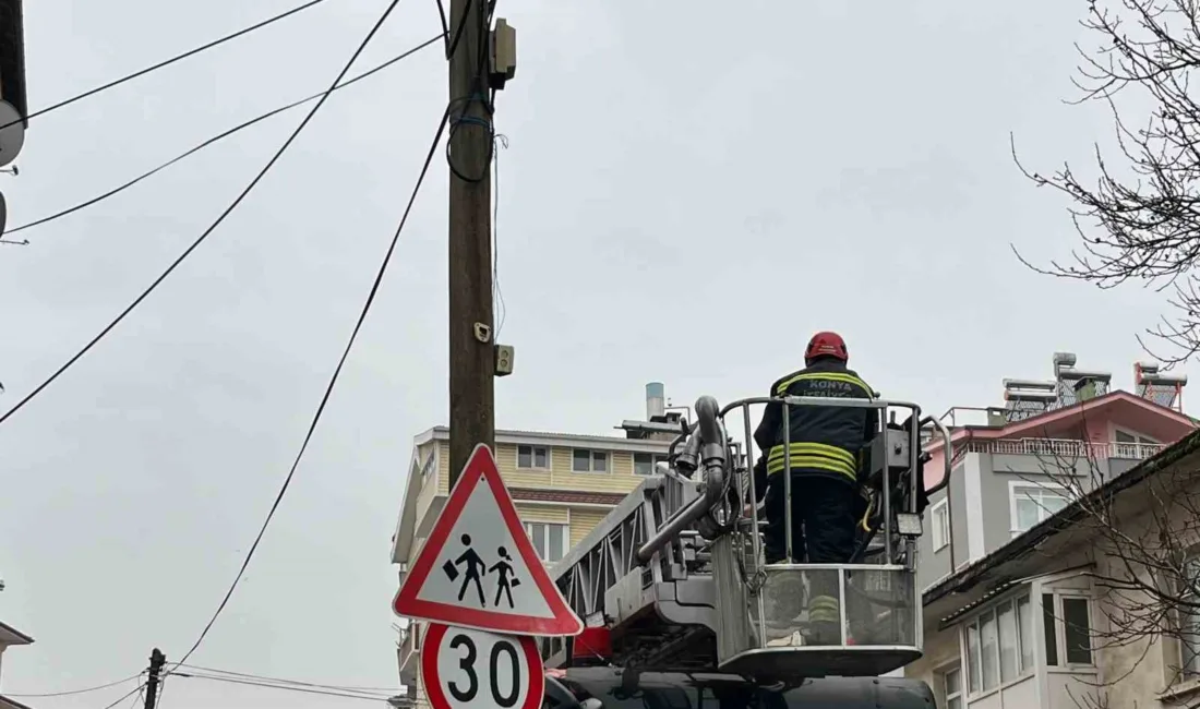 Beyşehir’de direkte mahsur kalan kedi kurtarıldı Konya’nın Beyşehir ilçesinde telefon direğinin tepesinde mahsur kalan kedi, itfaiye
