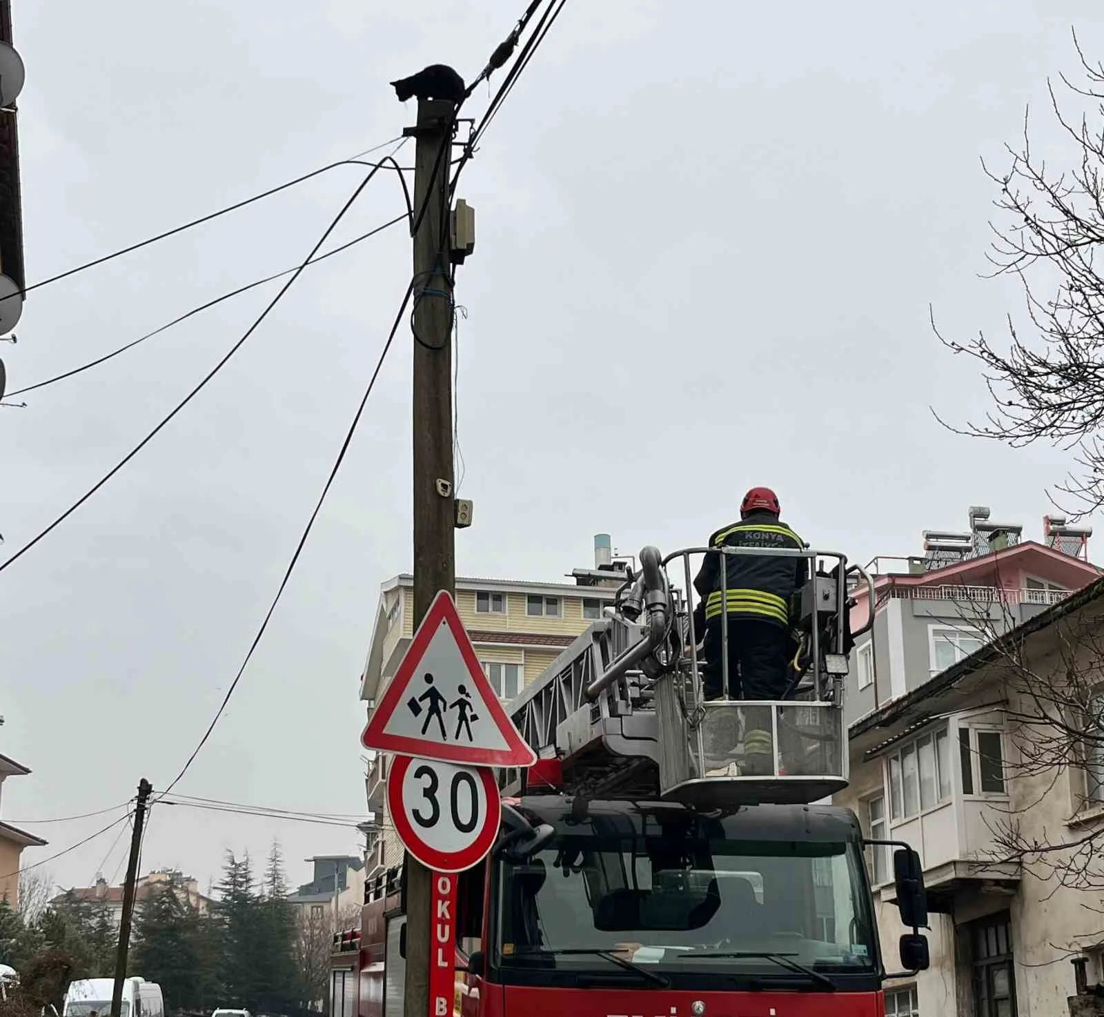 Konya’nın Beyşehir ilçesinde telefon direğinin tepesinde mahsur kalan kedi, itfaiye