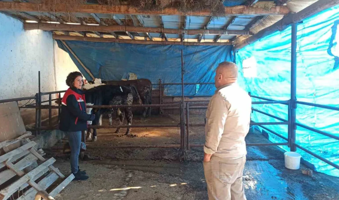 Afyonkarahisar’da besicilik yapan tarımsal işletmelere yönelik Çiftlik Muhasebe Veri Ağı