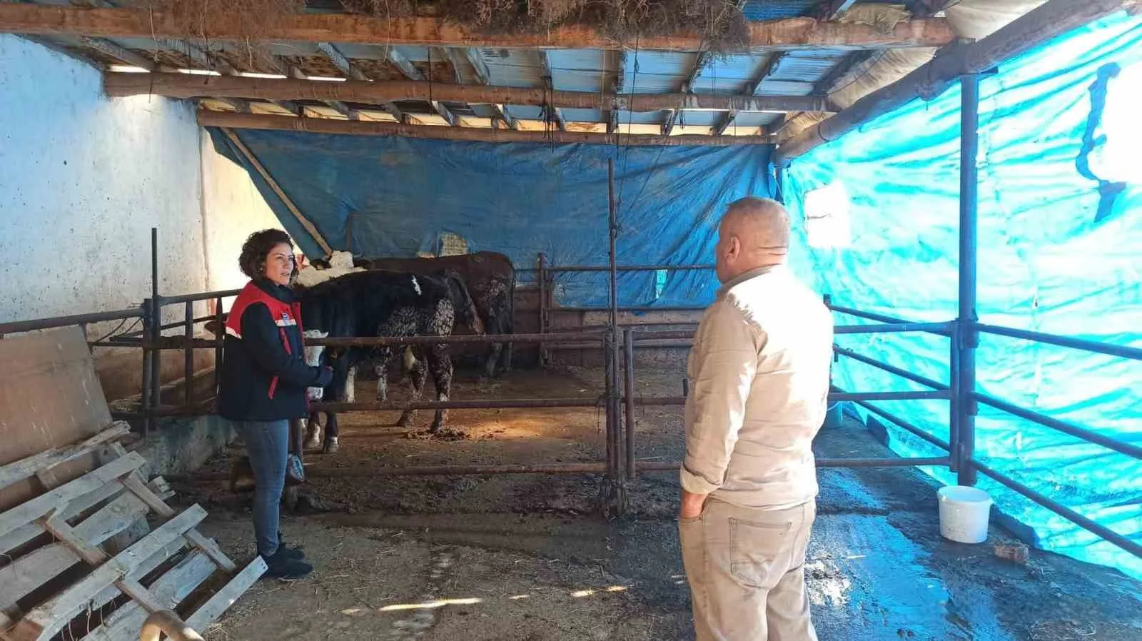 Afyonkarahisar’da besicilik yapan tarımsal işletmelere yönelik Çiftlik Muhasebe Veri Ağı