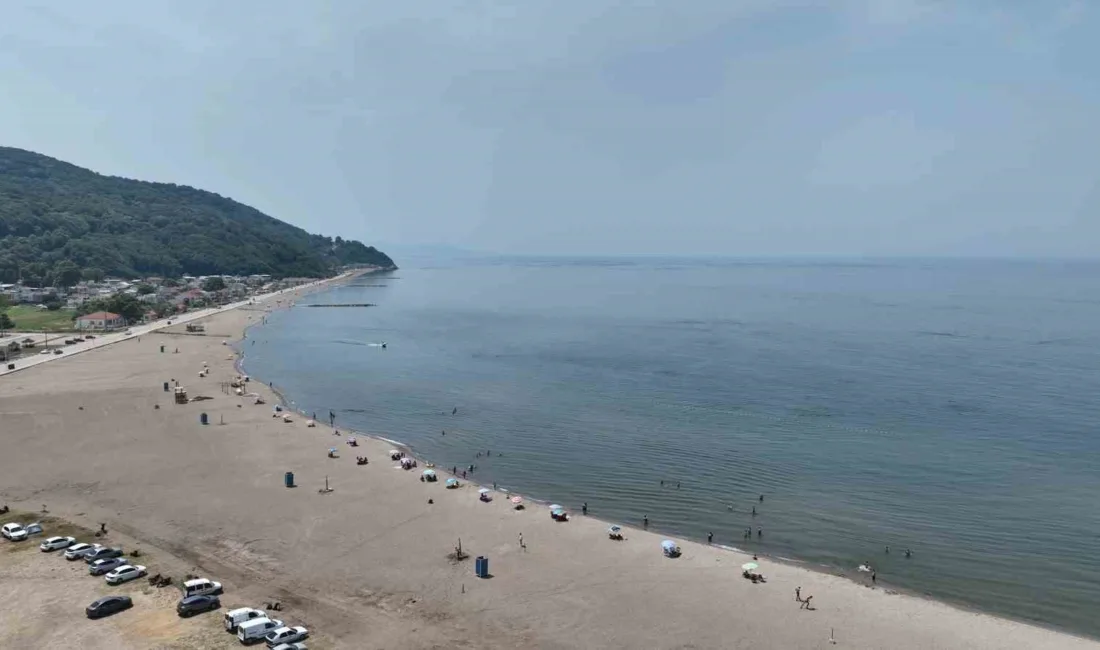 Bursa sahillerinden sevindiren haber Bursa’da Mudanya, Karacabey ve Gemlik ilçelerinin Marmara Denizi’ne olan kıyıları