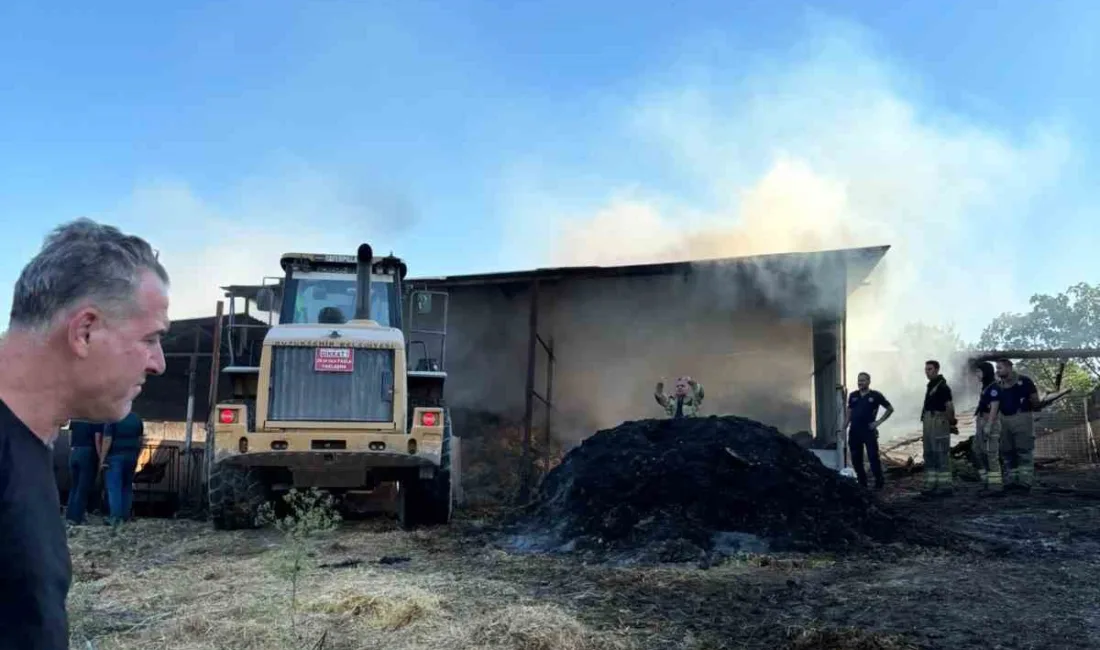 Bursa’nın Karacabey ilçesinde bir çiftlikte çıkan yangında 4 büyükbaş hayvan