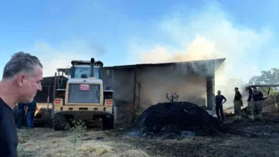 Bursa’nın Karacabey ilçesinde bir çiftlikte çıkan yangında 4 büyükbaş hayvan
