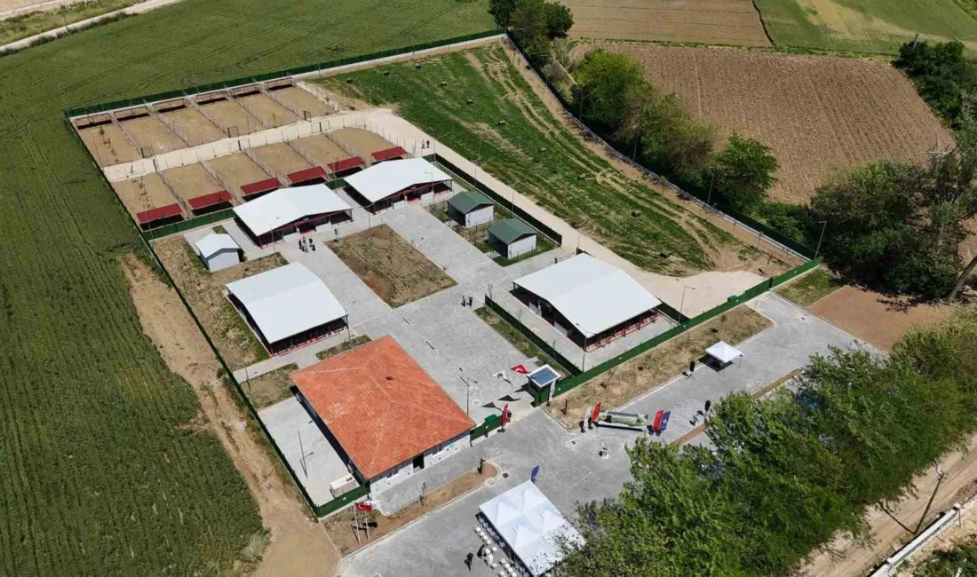 Güney Marmara’nın en modern hayvan bakım evi Yenişehir’e açıldı Yenişehir Belediyesi, can dostların yaşam standartlarını en üst seviyeye çıkaracak,