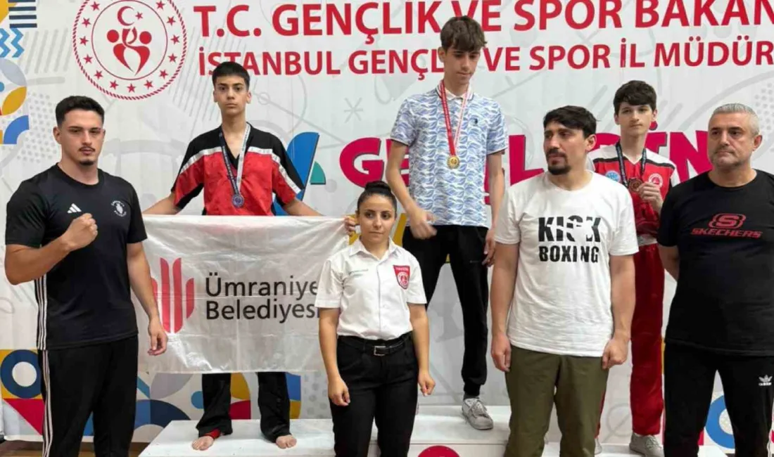 Ümraniye Belediyesi Spor Kulübü Kick Boks Takımı, Türkiye Kick Boks