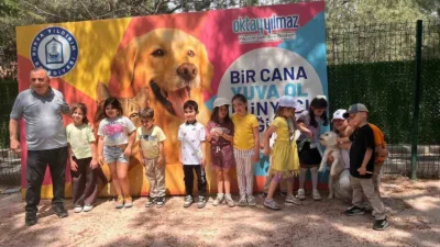 Yıldırım Belediyesi Sahip Sokak Hayvanları Tedavi Merkezi ve Doğal Yaşam